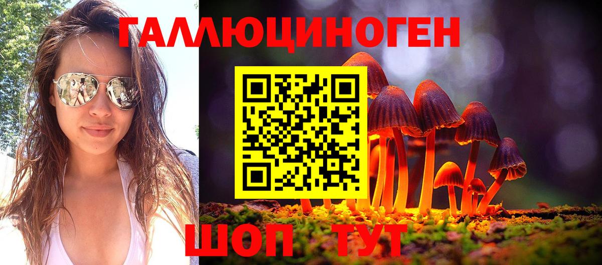 Псилоцибиновые грибы Cubensis Белорецк